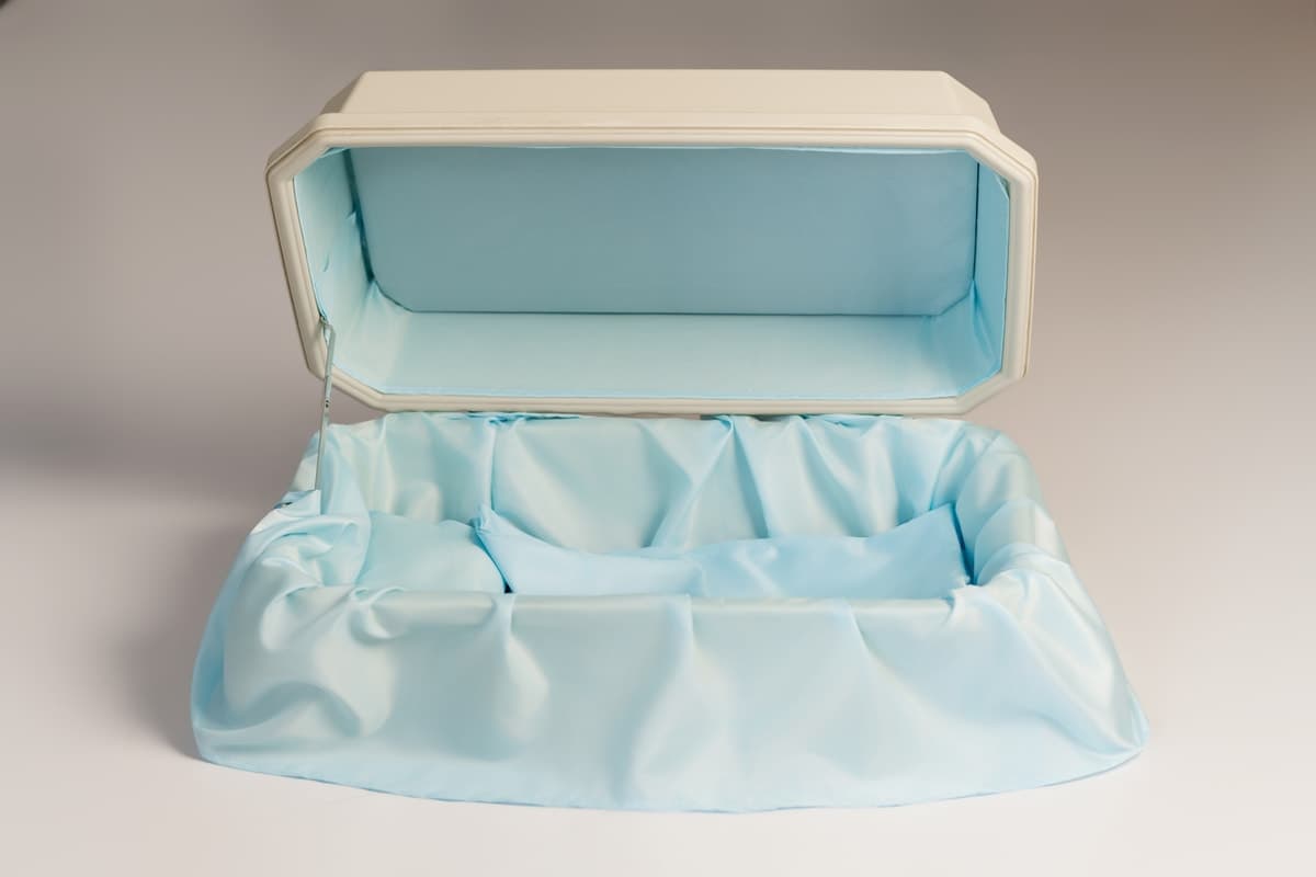 A Companion Box lined in Deep Ocean Blue