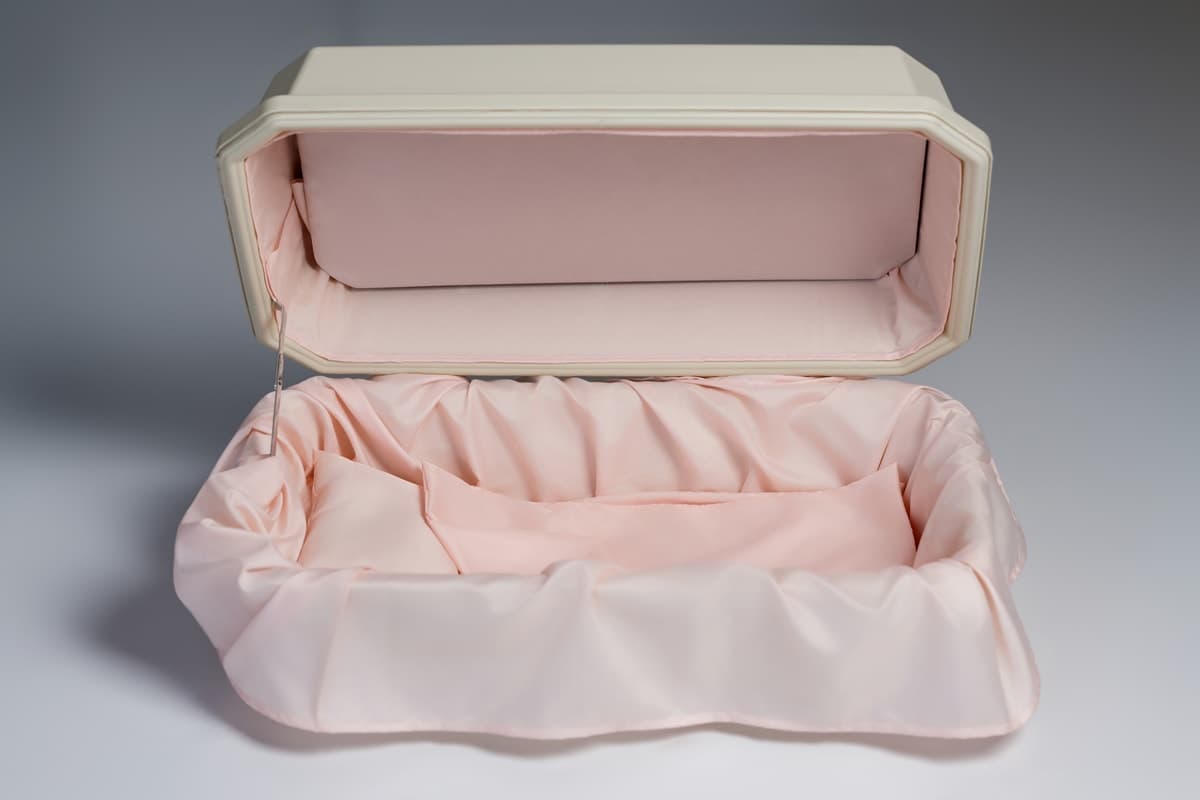 A Companion Box lined in Serene Pink