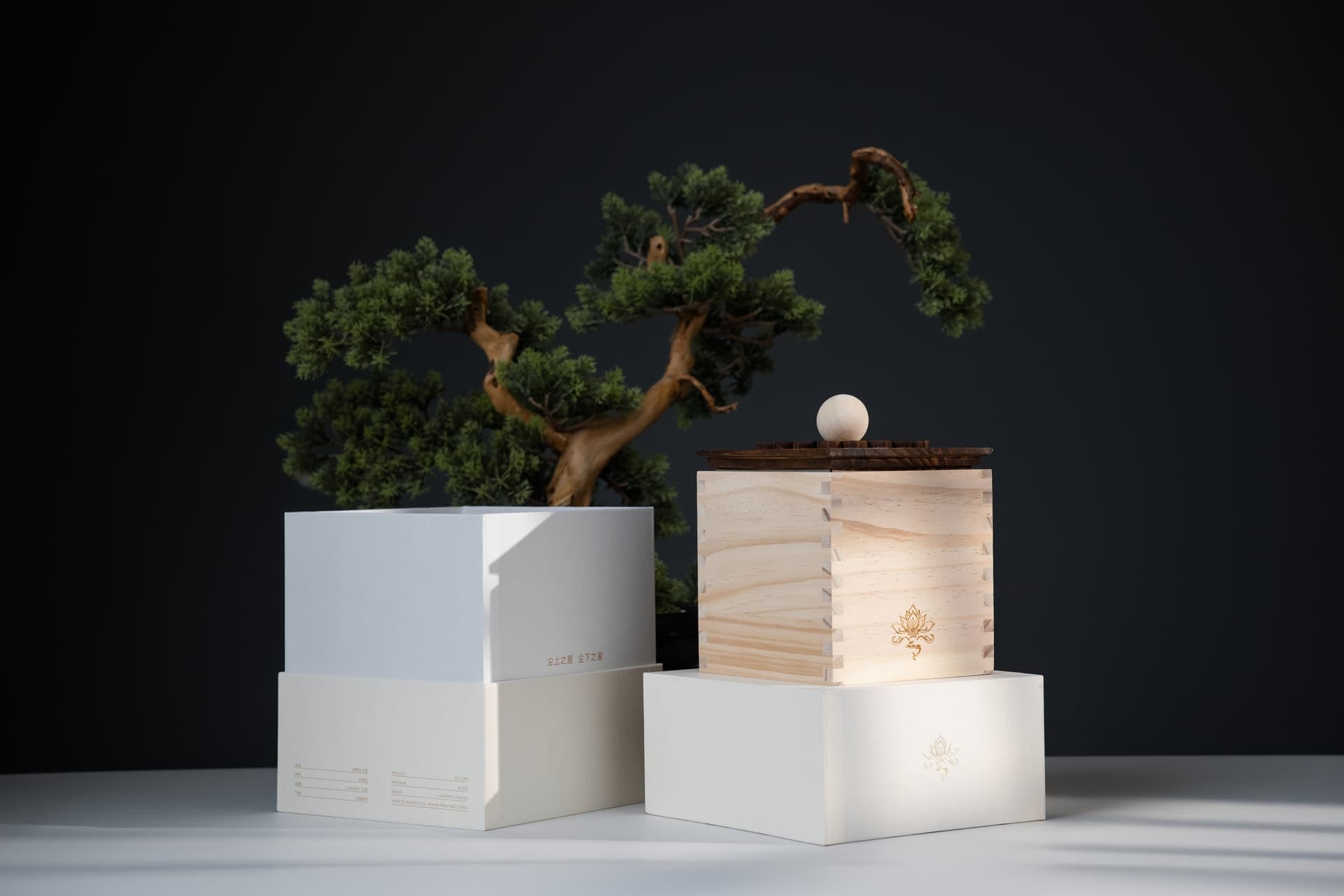 The Square memorial box in natural pine beside its gift box, window light falling across it