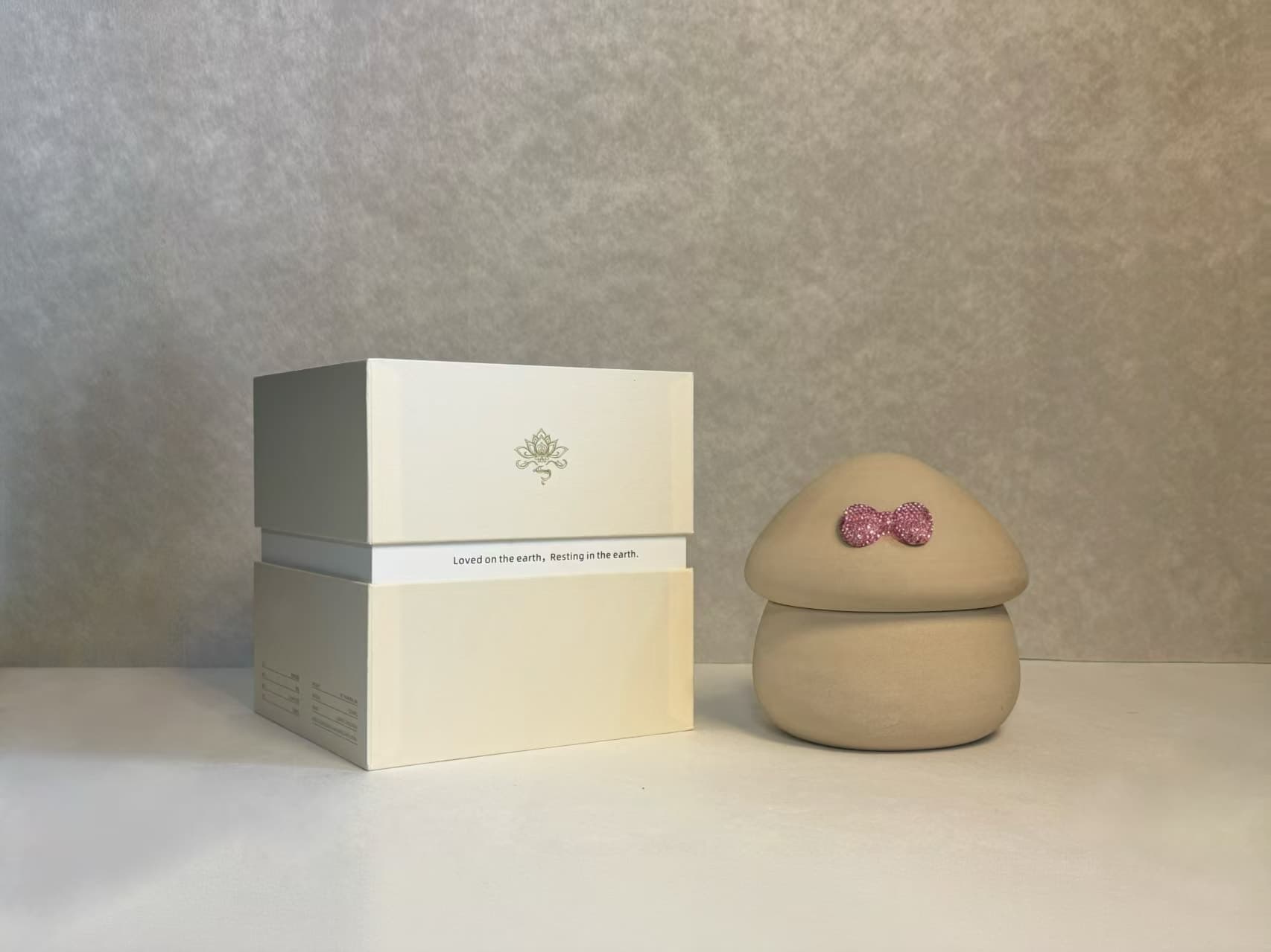 The Mushroom Sleep House beside its gift box